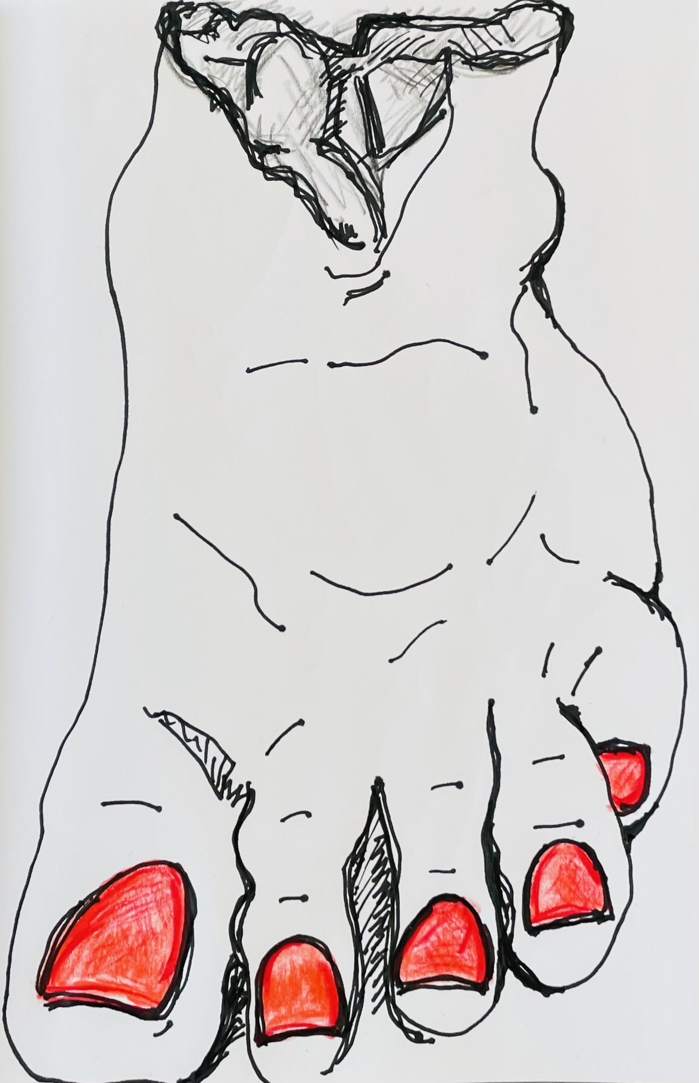Drawing of foot